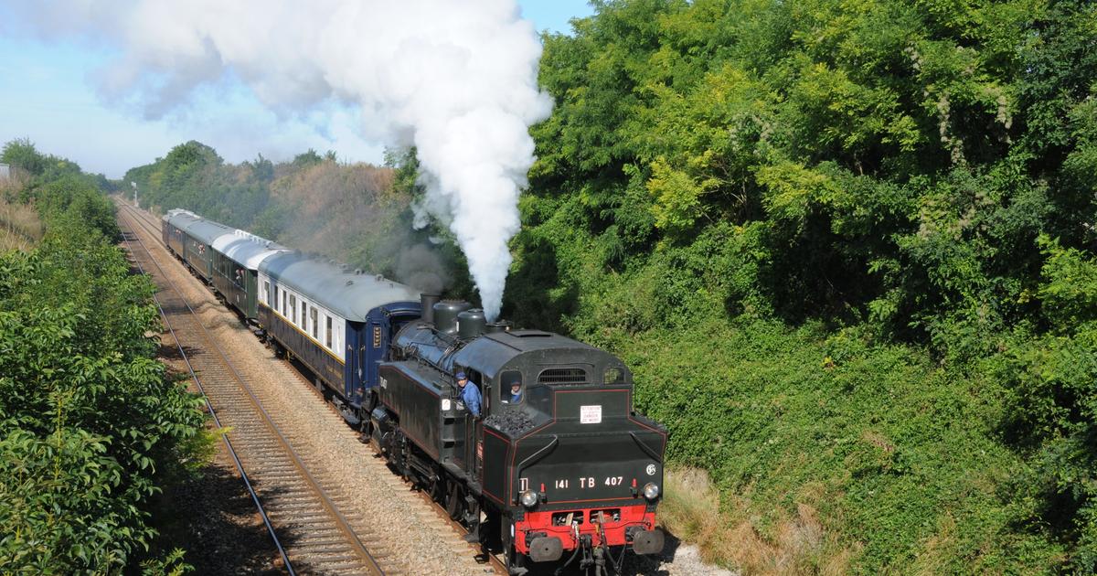 Steam locomotives, old Michelines… The second life of vintage trains, pampered by enthusiasts