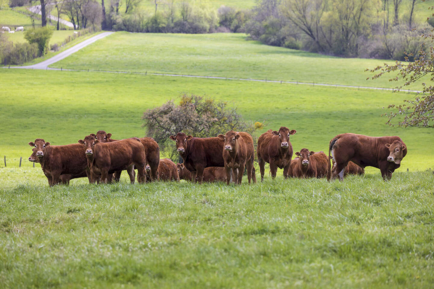 In the agricultural law, environmental orientation is reduced to the bare minimum